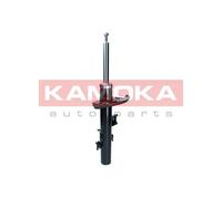 Ammortizzatore Assale posteriore Dx Spina superiore 2001289 KAMOKA