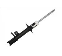 Ammortizzatore Assale posteriore Dx Spina superiore 555002R DACO Germany
