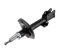 Ammortizzatore Assale posteriore Dx Spina superiore A-NS-014 NTY