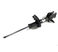 Ammortizzatore MAGNUM TECHNOLOGY AG3050MT destro