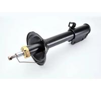 Ammortizzatore Assale posteriore Dx Spina superiore AG7031MT Magnum Technology