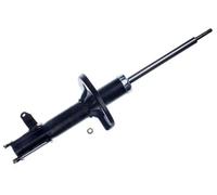 Ammortizzatore Assale posteriore Dx Spina superiore DSB457G DENCKERMANN