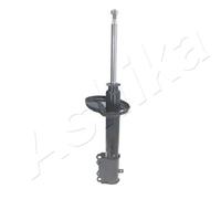 Ashika Ashika Ma-20048