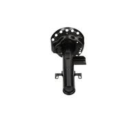 Ammortizzatore Assale posteriore Dx Spina superiore SSA-10581 KAVO PARTS