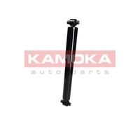 Ammortizzatore Assale posteriore per MAZDA 6