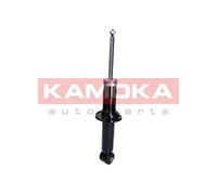 Ammortizzatore Assale posteriore per AUDI 100 200 A6