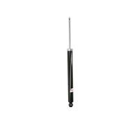 Ammortizzatore Assale posteriore Occhiello inferiore AGG166 Magnum Technology