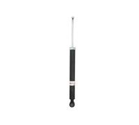 Ammortizzatore Assale posteriore Occhiello inferiore AGM101 Magnum Technology
