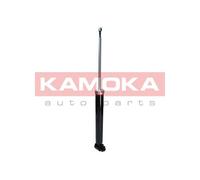 Ammortizzatore Assale posteriore per AUDI A6 A6 Allroad