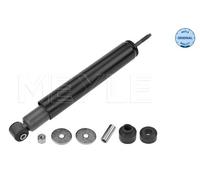 Ammortizzatore Assale posteriore per DAEWOO OPEL VAUXHALL ASTRA CAVALIER ESPERO