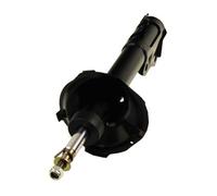 Ammortizzatore Assale posteriore per FIAT SUZUKI SEDICI SX4