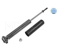 Ammortizzatore Assale posteriore per RENAULT VOLVO VEL SATIS XC90