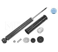 Ammortizzatore Assale posteriore per SMART FORTWO