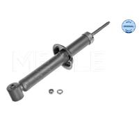 Ammortizzatore Assale posteriore per VW GOLF JETTA SCIROCCO