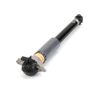 AMMORTIZZATORE POSTERIORE ARNOTT MR3851