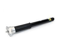 Arnott SKE-4367 Ammortizzatore per PORSCHE
