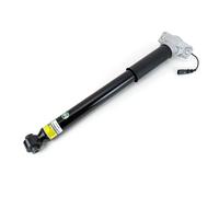 Ammortizzatore Assale posteriore Ponte superiore SKE-5690 Arnott per AUDI A6 C8