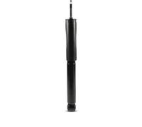 Ammortizzatore Assale posteriore Spina superiore 4552100600 JP GROUP per SAAB