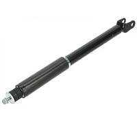 Ammortizzatore Assale posteriore Spina superiore A-FR-048 NTY per FORD USA