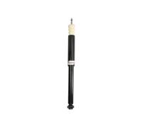 Ammortizzatore MAGNUM TECHNOLOGY AG3066MT