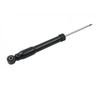 Ammortizzatore Assale posteriore Spina superiore B14718 Borsehung per VW TIGUAN