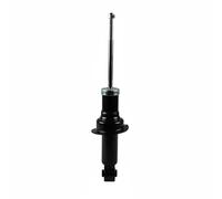 Ammortizzatore Assale posteriore Sx Occhiello inferiore 3852100700 JP GROUP