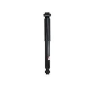 Ammortizzatore Assale posteriore Sx Occhiello inferiore AG1113 Magnum Technology