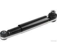 Ammortizzatore Assale posteriore Sx Occhiello superiore J4320864 per RENAULT