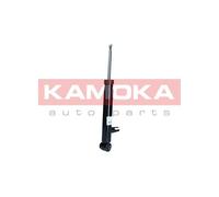 Ammortizzatore Assale posteriore Sx per BMW X5 X6