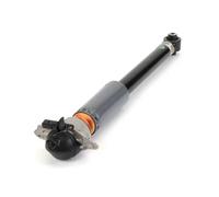 Ammortizzatore Assale posteriore Sx Ponte superiore MR-3854 Arnott per AUDI TT