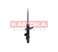 Ammortizzatore Assale posteriore Sx Spina superiore 2000462 KAMOKA