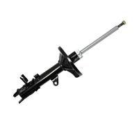 Ammortizzatore Assale posteriore Sx Spina superiore 551303L DACO Germany
