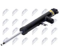 Ammortizzatore Assale posteriore Sx Spina superiore A-BM-083 NTY