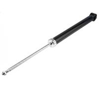 Ammortizzatore Assale posteriore Sx Spina superiore A-VW-039 NTY per VW