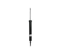 Ammortizzatore Assale posteriore Sx Spina superiore AGB117 Magnum Technology