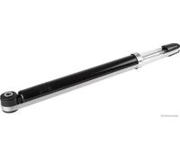 Ammortizzatore Assale posteriore Sx Spina superiore J4320845 per BMW 3 Touring 3