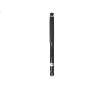 Ammortizzatore BILSTEIN 19-310114