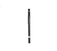 Ammortizzatore BILSTEIN 19-332819 DACIA LOGAN II 1 2019-