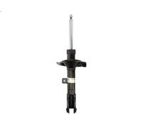 Ammortizzatore BILSTEIN 22-172679 per PEUGEOT 4007 (VU_, VV_) 2.2 2007-2013