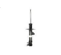 Ammortizzatore BILSTEIN 22-196965 per PANDA (169_) 1.2 2007-2011