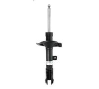Ammortizzatore BILSTEIN 22-243133 per CITROEN C4 AIRCROSS 2 2012-