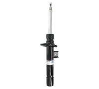 Bilstein 22-213136 Ammortizzatore