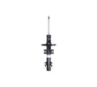 Ammortizzatore BILSTEIN - B4 Gas BILSTEIN 22-222046