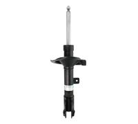 BILSTEIN Ammortizzatori 22-243133 Ammortizzatore PEUGEOT,MITSUBISHI,CITROËN,4008 SUV,ASX (GA_W_),C4 AIRCROSS