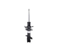 Ammortizzatore BILSTEIN - B4 Gas BILSTEIN 22-245182 destro