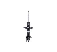 BILSTEIN 22-248176 Ammortizzatore