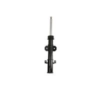 Ammortizzatore BILSTEIN - B4 OE Replacement BILSTEIN 22-250407