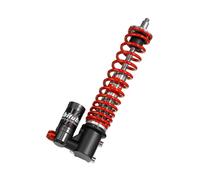 Ammortizzatore BITUBO Anteriore Gas Bottiglia pv026yev01 per Moto