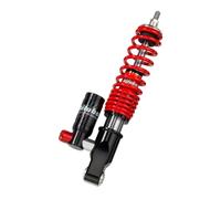 Ammortizzatore BITUBO Anteriore Gas Bottiglia pv043gev01 per Moto