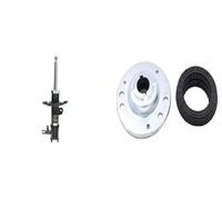ASHIKA Supporto ammortizzatore a molla SMA0175